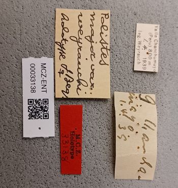 Media type: image;   Entomology 33138 Aspect: labels